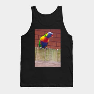 The Rainbow Lorikeet! Tank Top